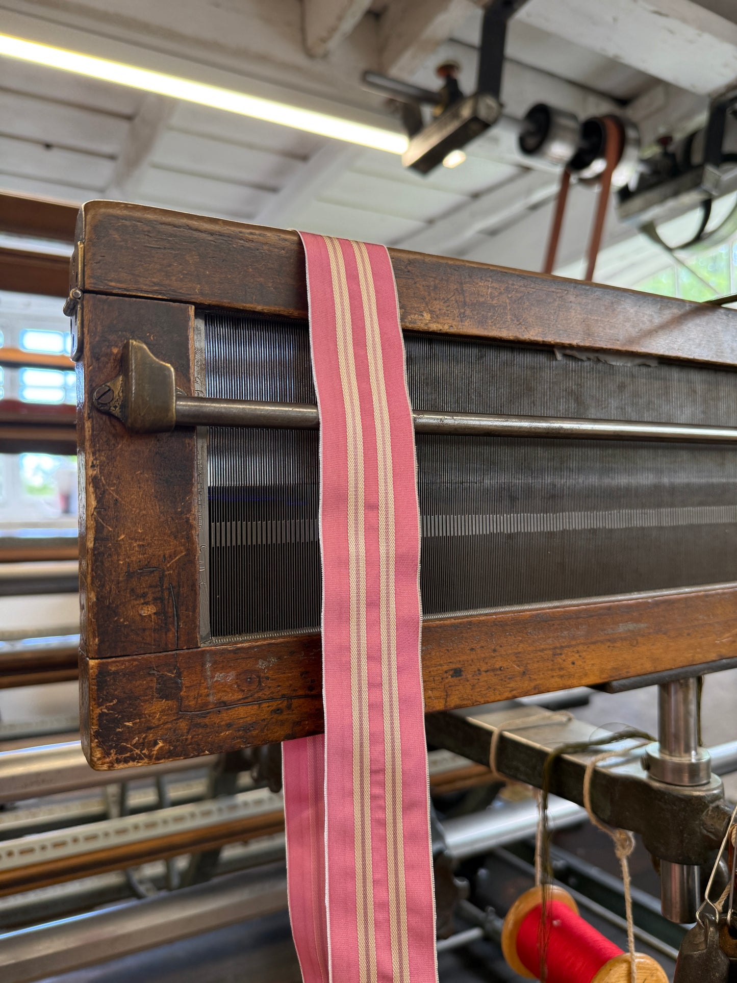 2026 Regency Ribbon - Painter