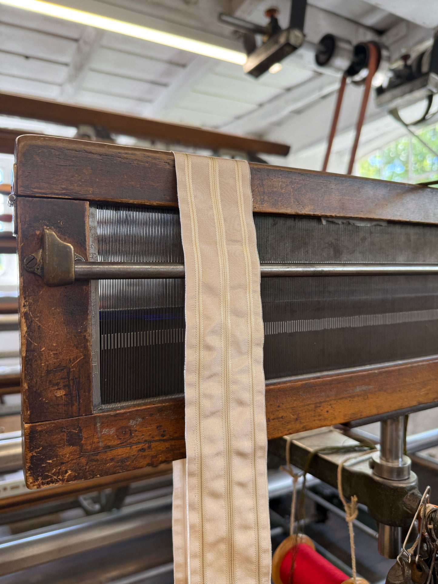 2026 Regency Ribbon - Thomas
