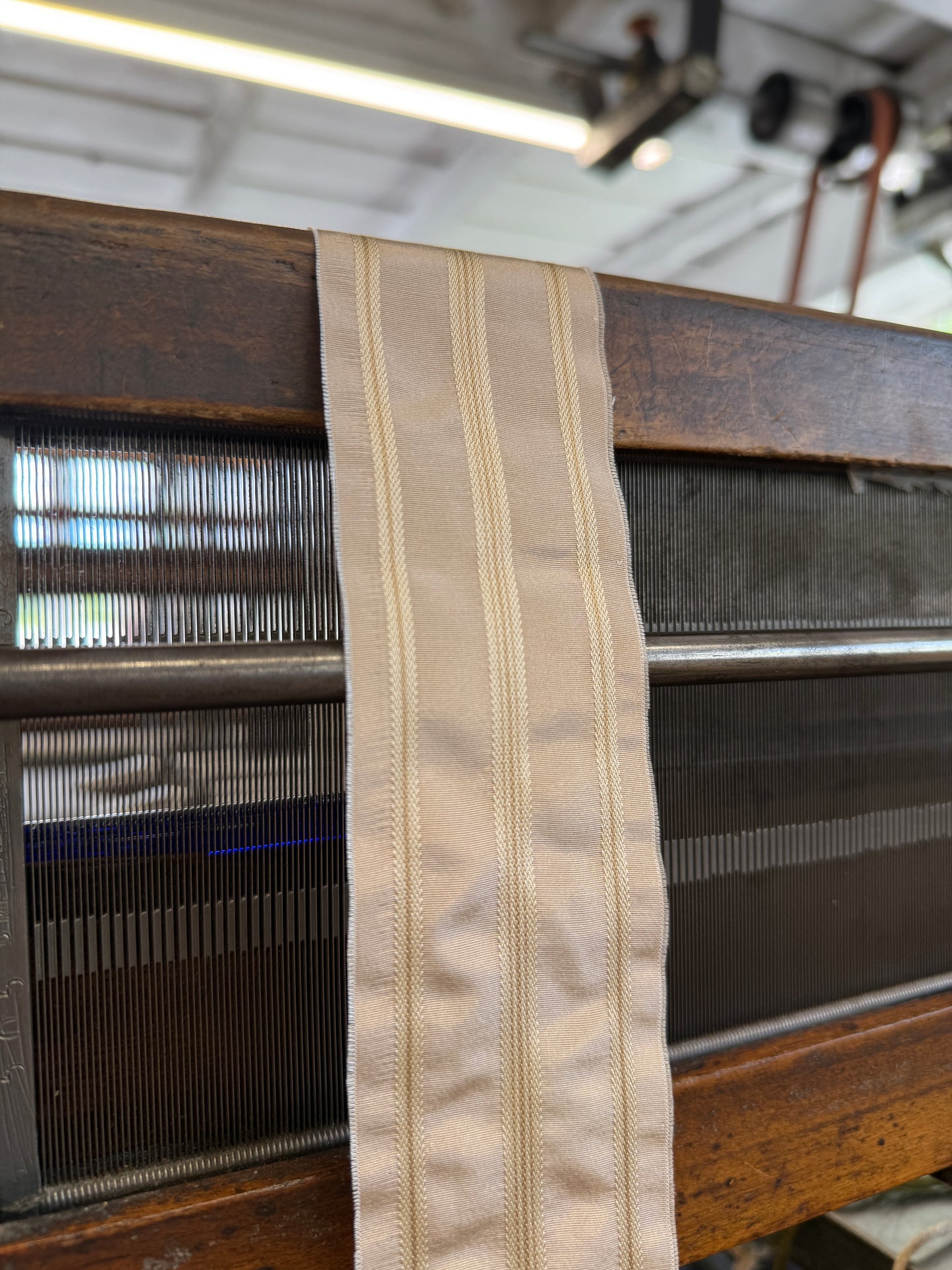 2026 Regency Ribbon - Thomas