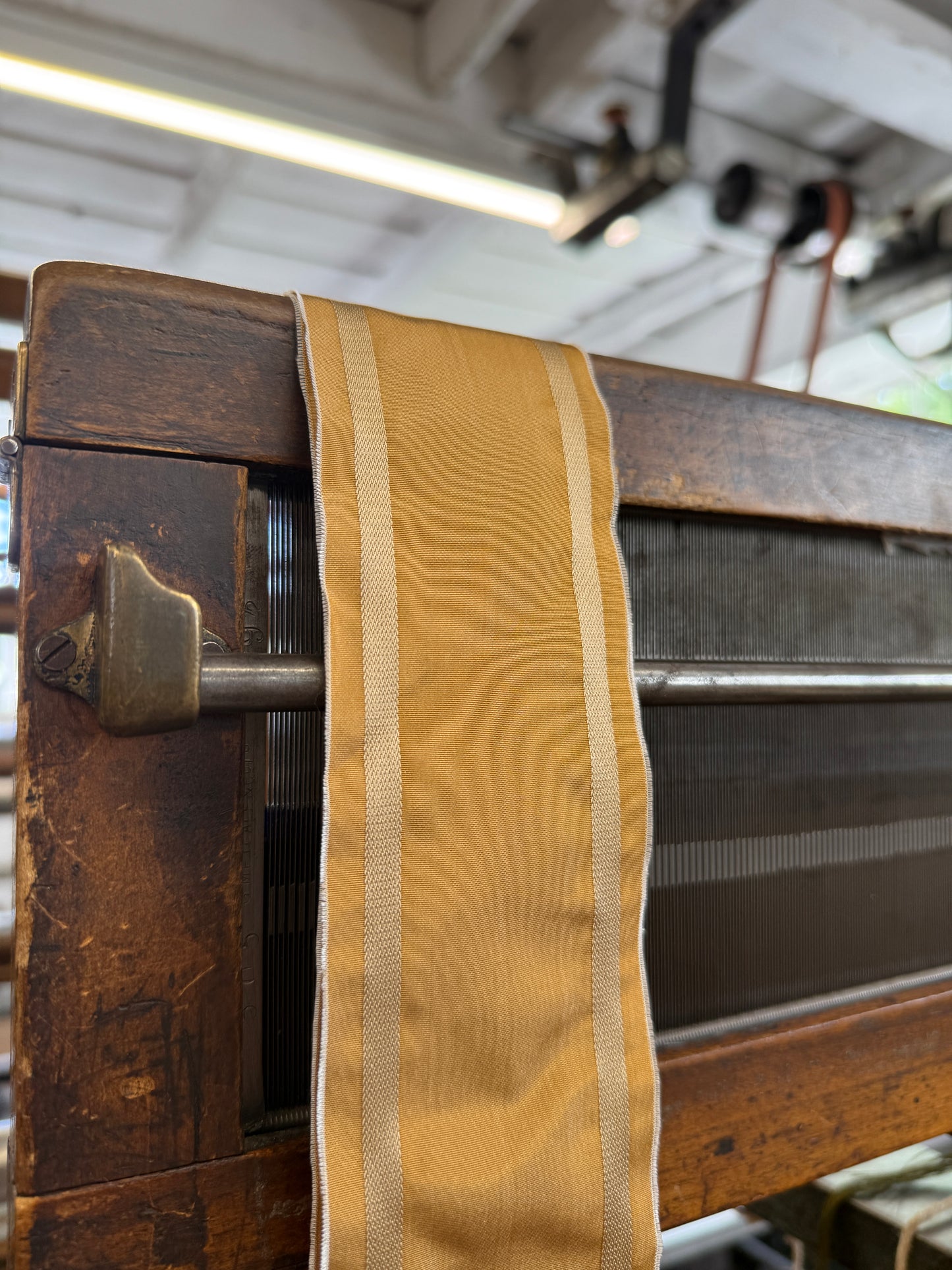 2026 Regency Ribbon - Maddick