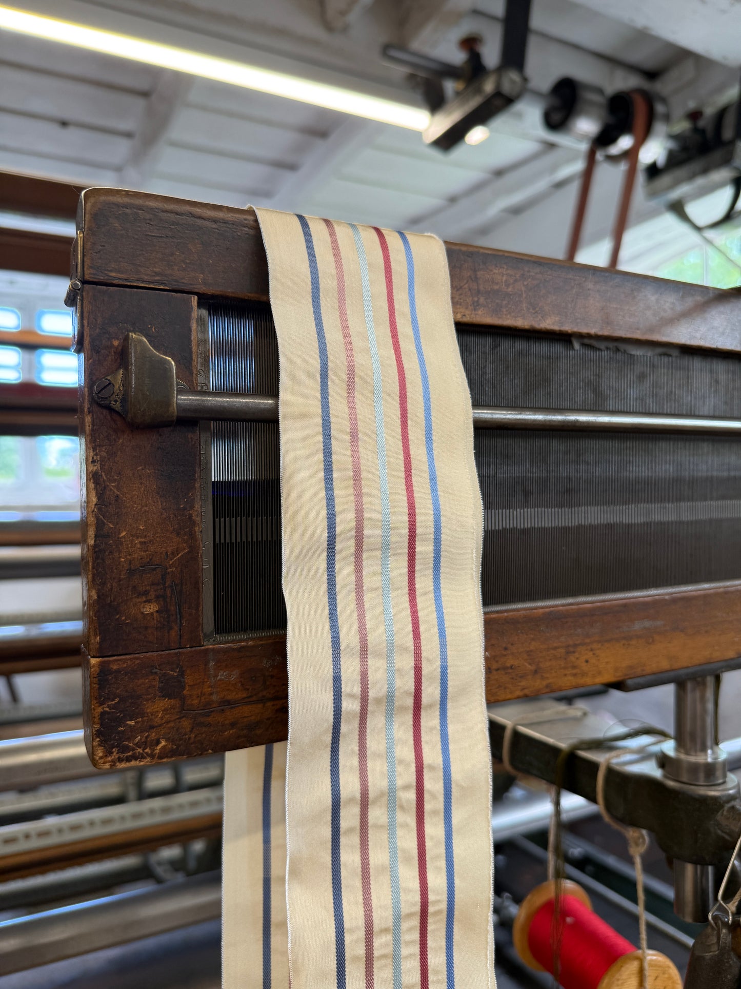 2026 Regency Ribbon - Hide